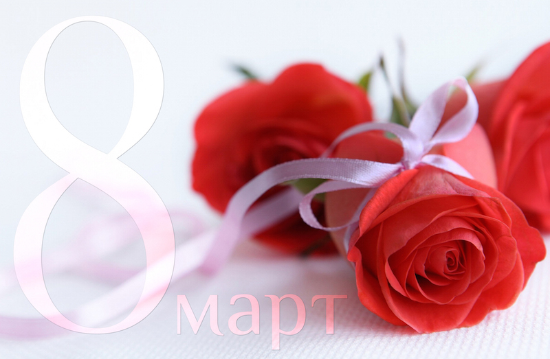 red rose wallpaper pc 7